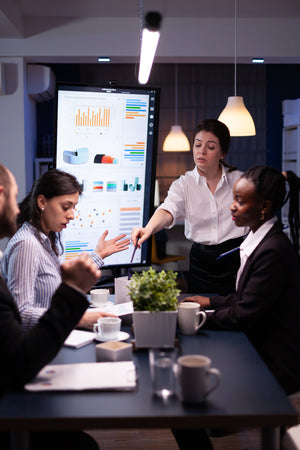Consultation Expert